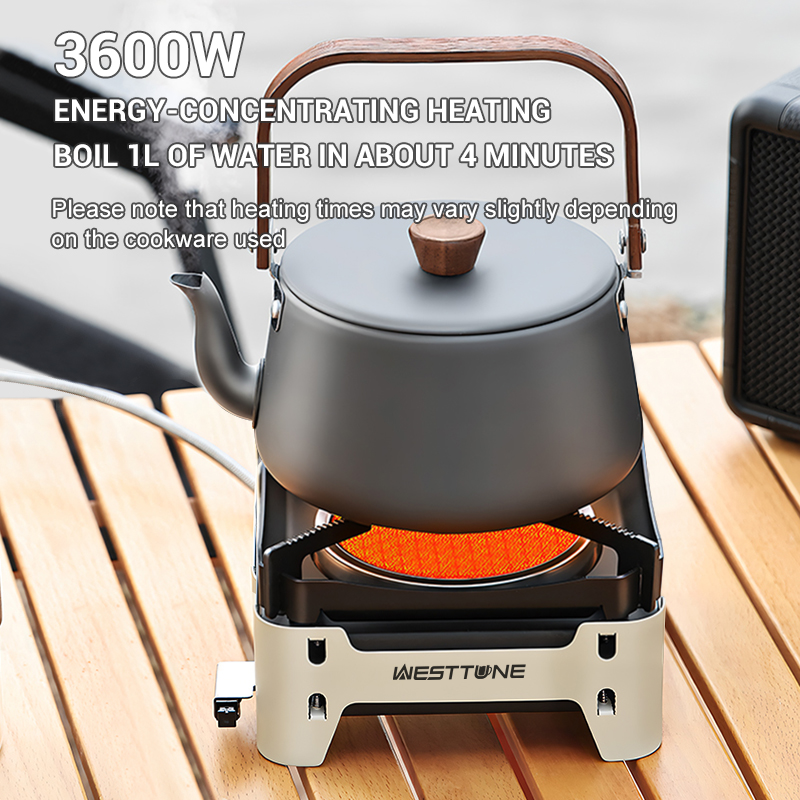 WESTTUNE Outdoor Infrared Comb - Camping Cooking No Gas 评论和价格